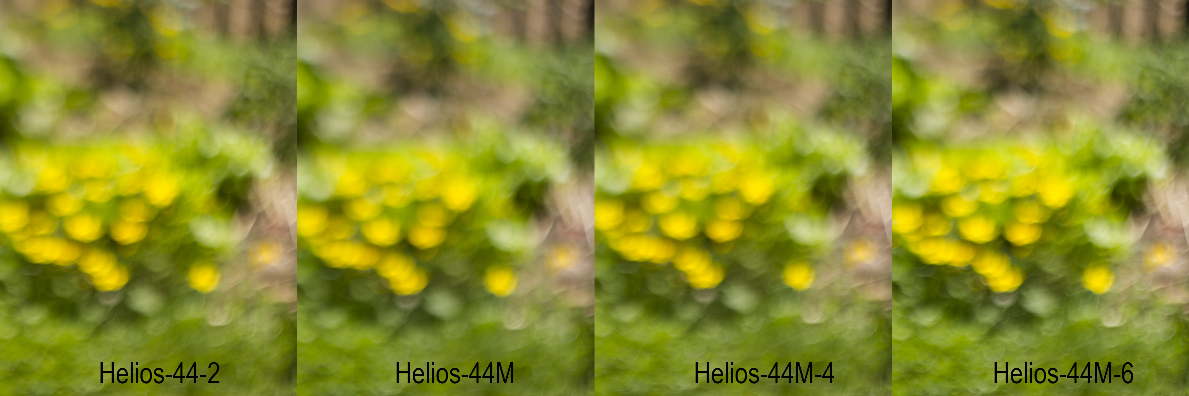 Comparatif entre les bokehs des Helios 44-2, 44M, 44M-4 et 44M-6